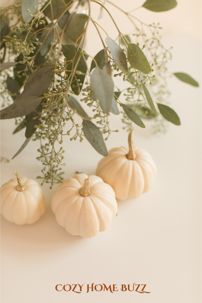 Eucalyptus with white pumpkins